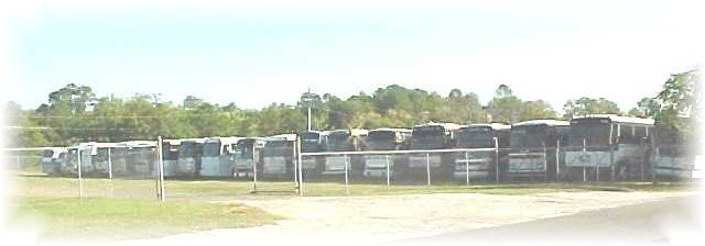 0209bus18.JPG (30209 bytes)